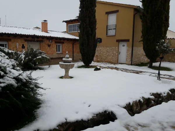 Jardín nevado. Jardín nevado.