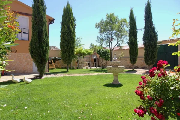 Jardín interior Jardín interior