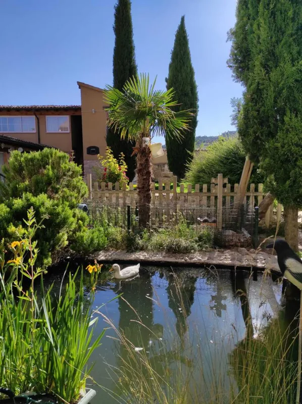 Jardín, estanque Jardín, estanque